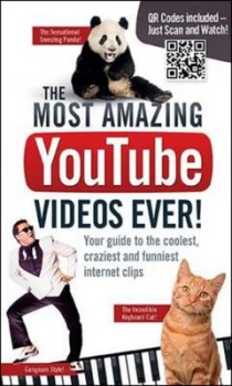 Image of The Most Amazing Youtube Videos Ever by Adrian Besley Paperback