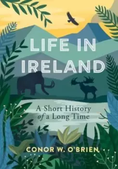 Image of Life in Ireland : A Short History of a Long Time