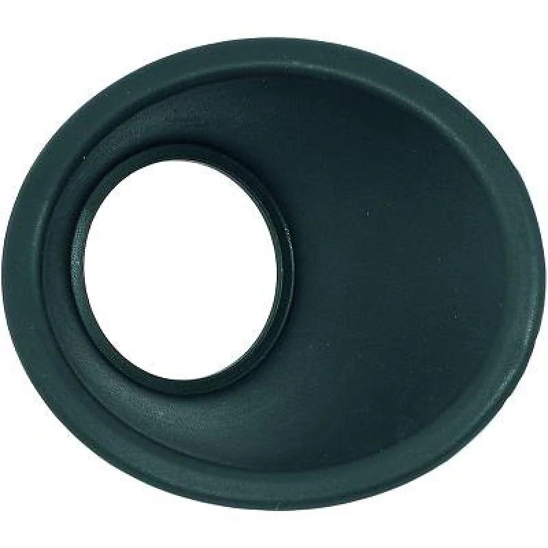 Image of Eyelid, fog light DIEDERICHS 3452863