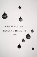 Image of no land in sight poems