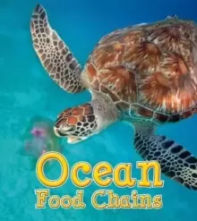 Image of Ocean Food Chains