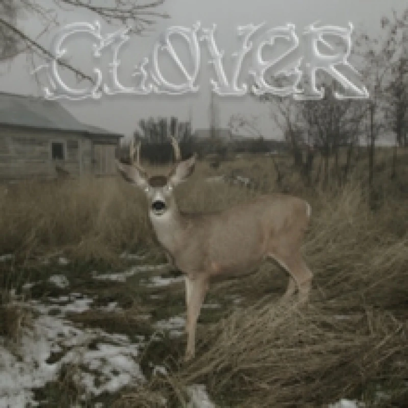 Image of Clover Vinyl