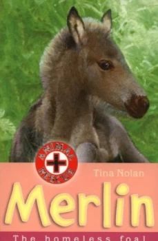 Image of Merlin by Tina Nolan Paperback