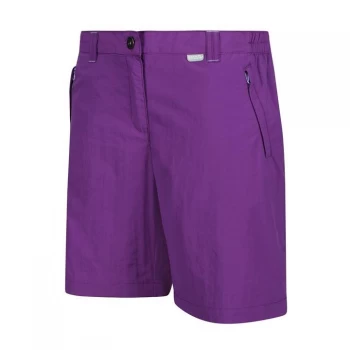 Regatta Chaska II Walking Shorts - Plum Jam