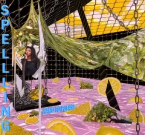 Image of Hard to Please by Spellling Vinyl Album