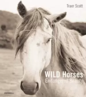 Image of Wild horses by Traer Scott