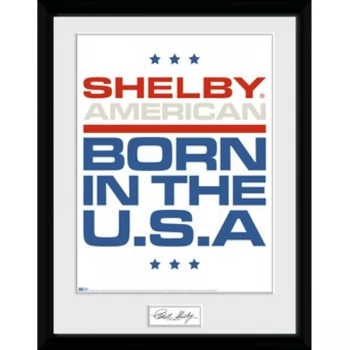 image of Shelby - Born In The USA Collector Print