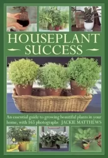 Image of Houseplant Success