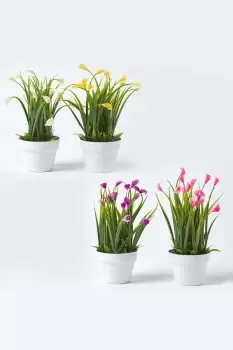 image of Set of 4 Multi-Coloured Artificial Calla Lilies in White Pots