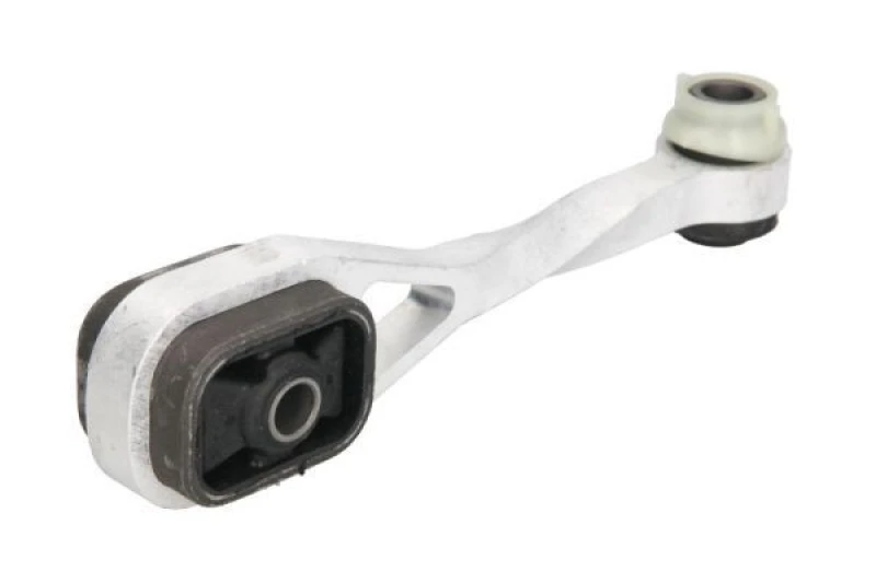 Image of REINHOCH Holder, engine mounting REINHOCH RH11-2009