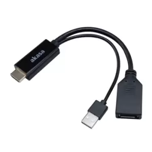 Image of Akasa HDMI to DisplayPort Adapter cable