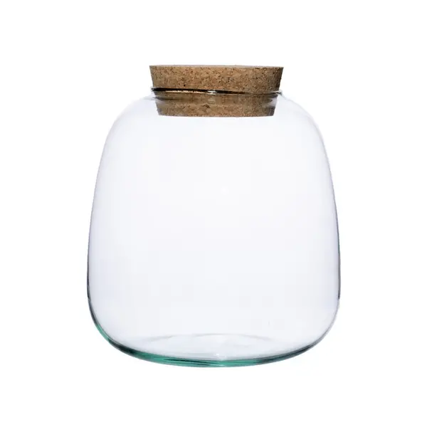 Image of Bowl Shape Medium Terrarium DIY Kit Clear