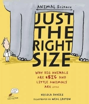 Image of Just the Right Size by Nicola Davies Book