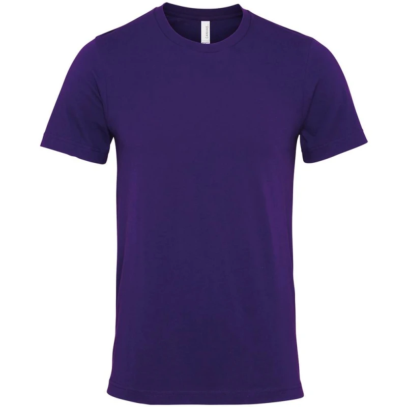 Image of Bella + Canvas CV001 womens in Purple