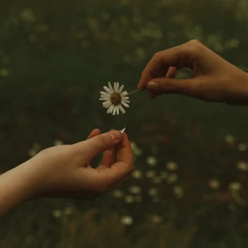 Image of Goldmund - The Time It Takes Vinyl