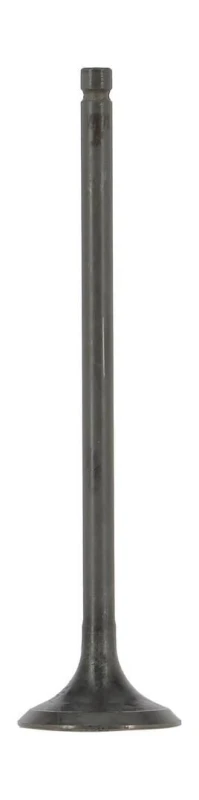 Image of Exhaust valve AE V95271