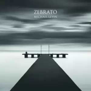 Image of Zebrato by Michael Levin