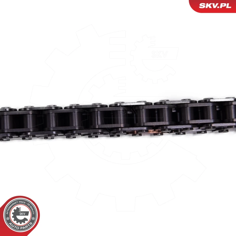 Image of ESEN SKV Timing chain kit ESEN SKV 21SKV258