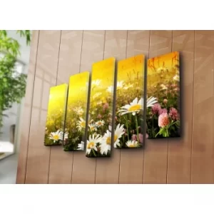 Image of 5PAT-21 Multicolor Decorative Canvas Painting (5 Pieces)