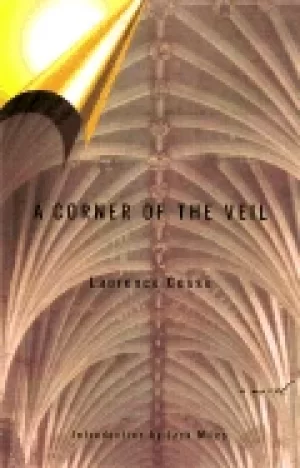 Image of corner of the veil