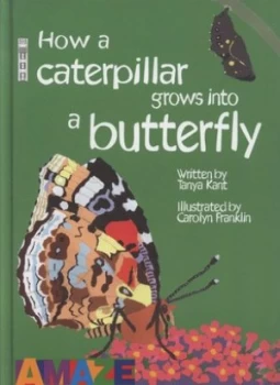 Image of How a Caterpillar Grows into a Butterfly by Tanya Kant and Carolyn Franklin Hardback