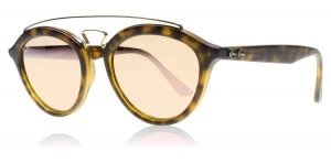Image of Ray-Ban RB4257 Sunglasses Matte Havana / Gold 6092/2Y 50mm