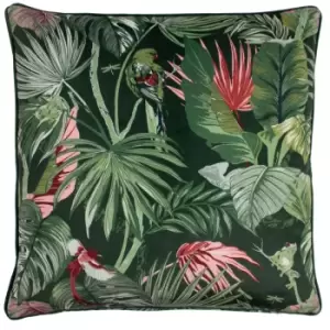 image of Amazon Creatures Cushion Jade