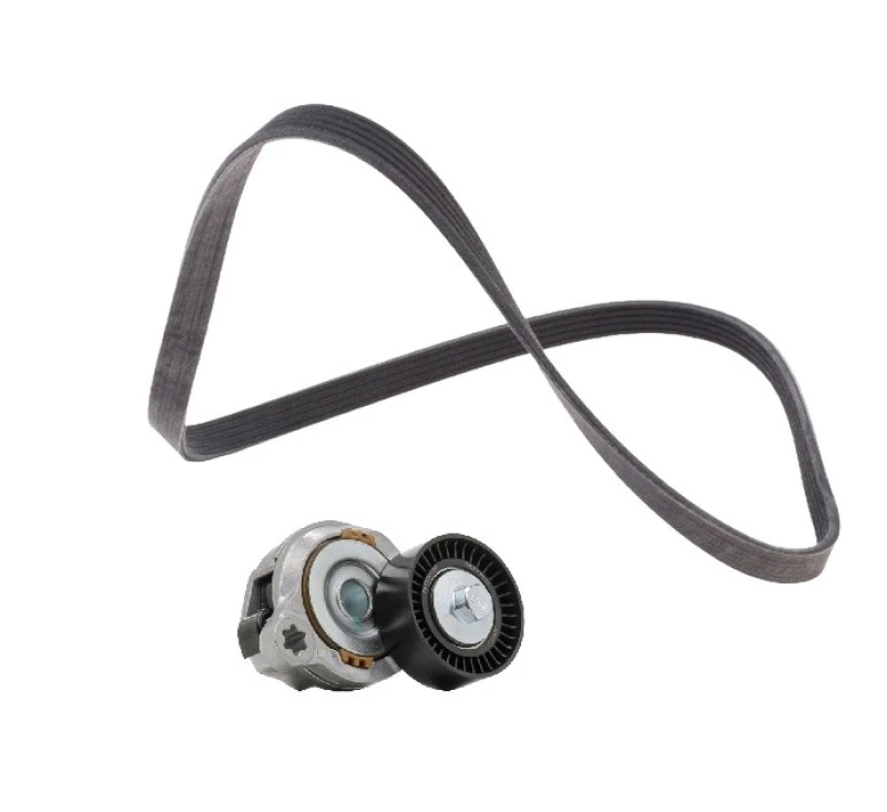 Image of RIDEX PLUS 542R0053P V-ribbed belt set V-Ribbed Belt Set (542)