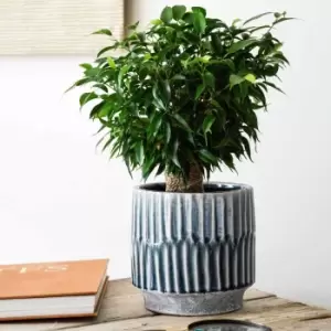 image of Ivyline Onno Planter Denim - H20Cm X D21Cm