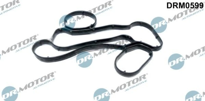 Image of DR.MOTOR AUTOMOTIVE Oil filter housing gasket DR.MOTOR AUTOMOTIVE DRM0599