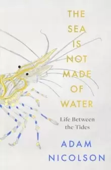 Image of the sea is not made of water : Life Between the Tides