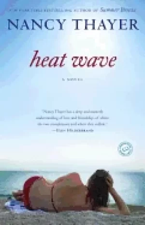 Image of heat wave a novel