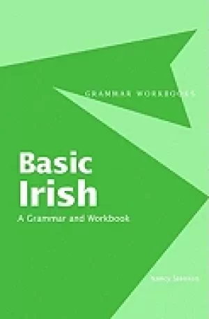 Image of basic irish a grammar and workbook