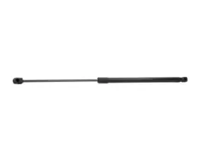 Image of RIDEX Tailgate strut RENAULT 219G0318 7700828454