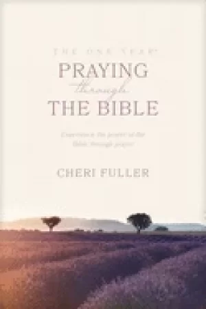Image of one year book of praying through the bible