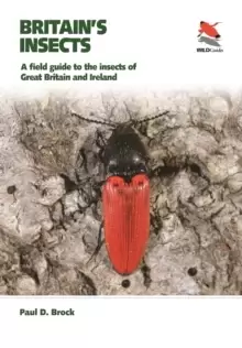 Image of Britains Insects : A Field Guide to the Insects of Great Britain and Ireland