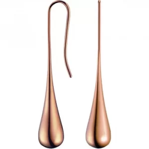 Image of Ladies Calvin Klein PVD rose plating Closed Earrings