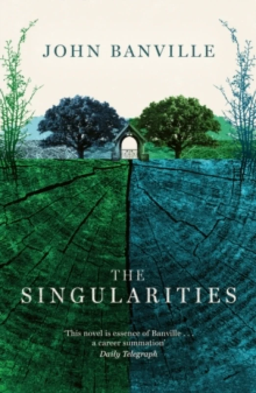 Image of The Singularities Paperback / softback