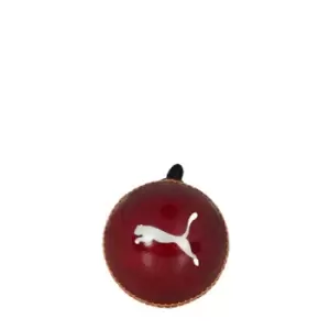 Image of Puma Evo 3 Ball 99 - Red