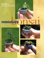 Image of miniature bonsai
