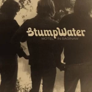 Image of Motel in Saginaw by Stumpwater Vinyl Album