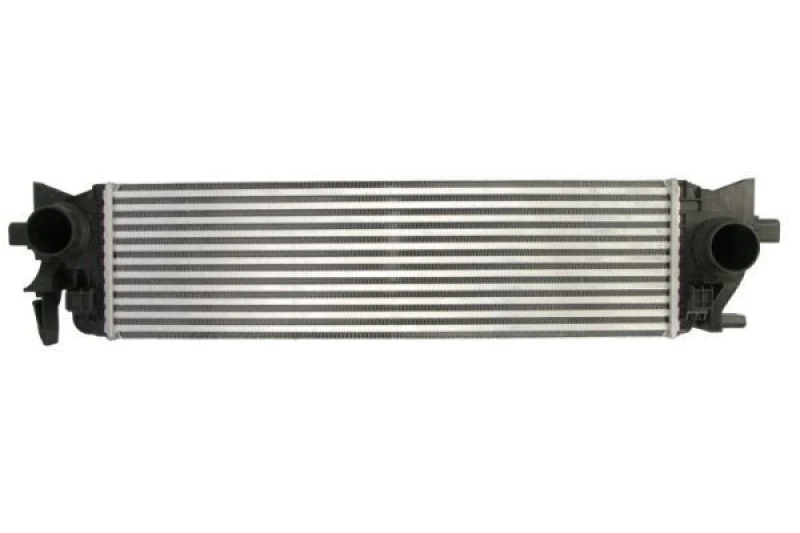 Image of THERMOTEC Intercooler THERMOTEC DAV013TT