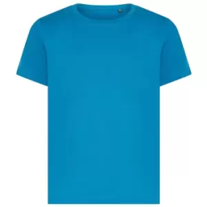 image of Ecologie Childrens/Kids Cascades Organic T-Shirt (12-13 Years) (Ink Blue)