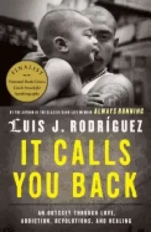 Image of it calls you back an odyssey through love addiction revolutions and healing