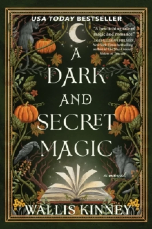 Image of A Dark and Secret Magic : A Novel Paperback / softback