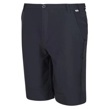 Regatta Highton Long Shorts - India Grey