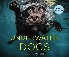 Image of Underwater Dogs by Seth Casteel