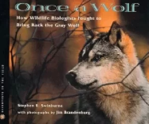 Image of once a wolf how wildlife biologists fought to bring back the gray wolf