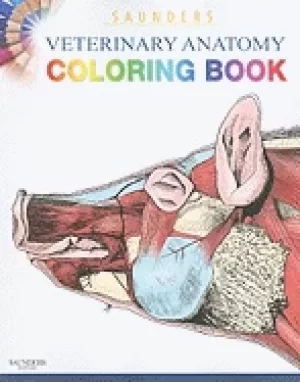Image of saunders veterinary anatomy coloring book