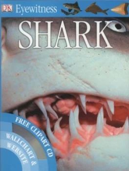 Image of Shark by Miranda Macquitty Paperback